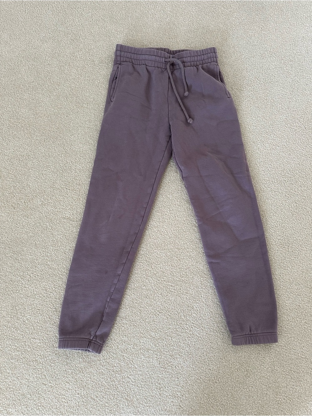 Aritzia TNA Cozy Fleece Jogger Sweatpants - SIZE 2XS
